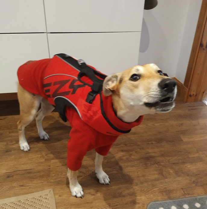 Ikea Sortera Catch Stop the Hungry Puppy! by Rob Download free STL