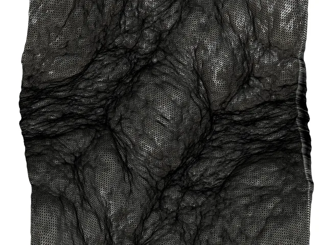 Waves