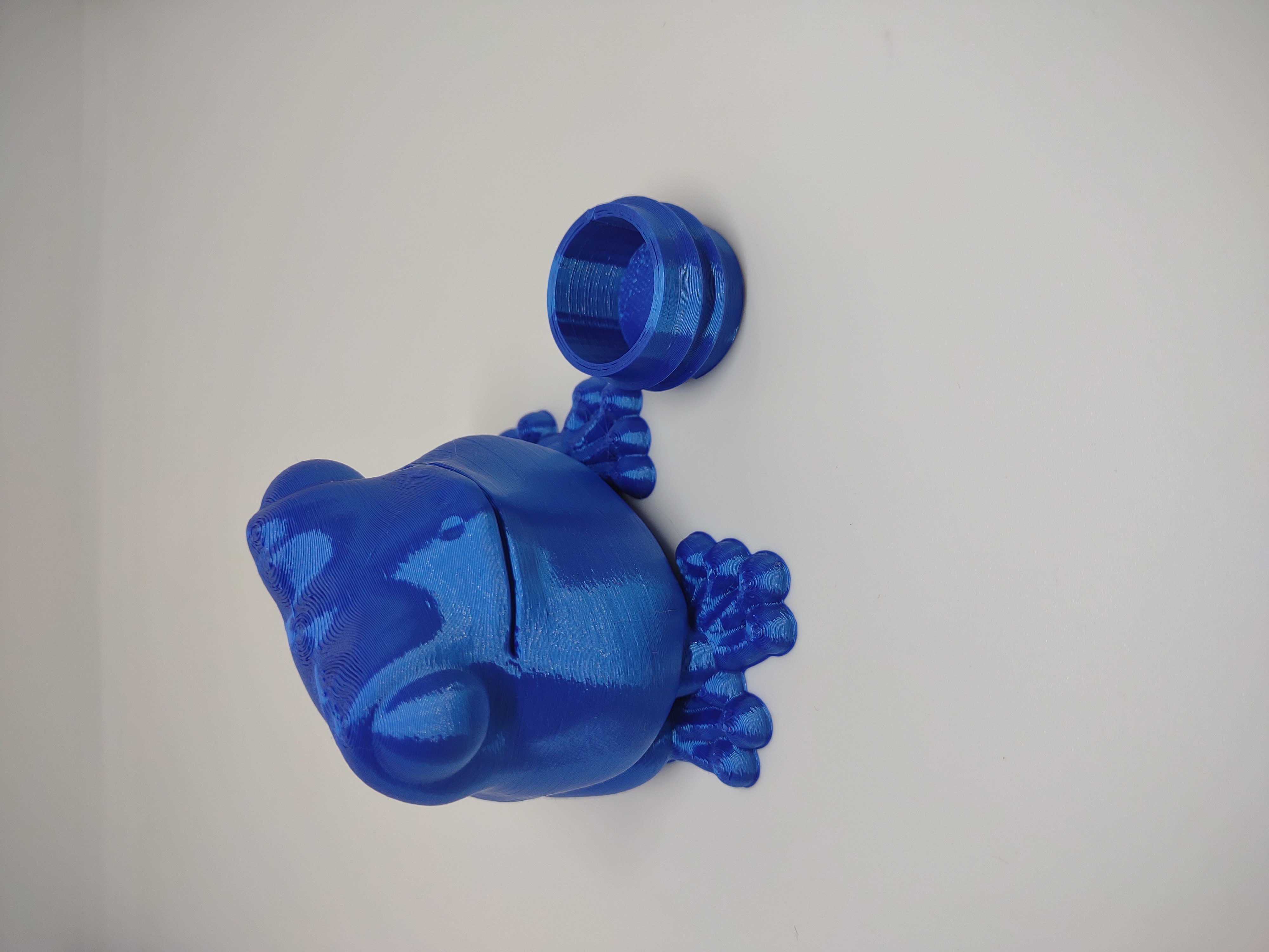 Frog Easter Egg