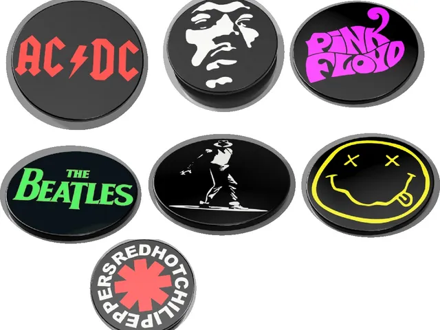 adaptateur interchangeable avec base commune HENDRIX MICHAEL JACKSON PINK FLOYD NIRVANA RED HOT CHILI PEPPERS ACDC BEATLES