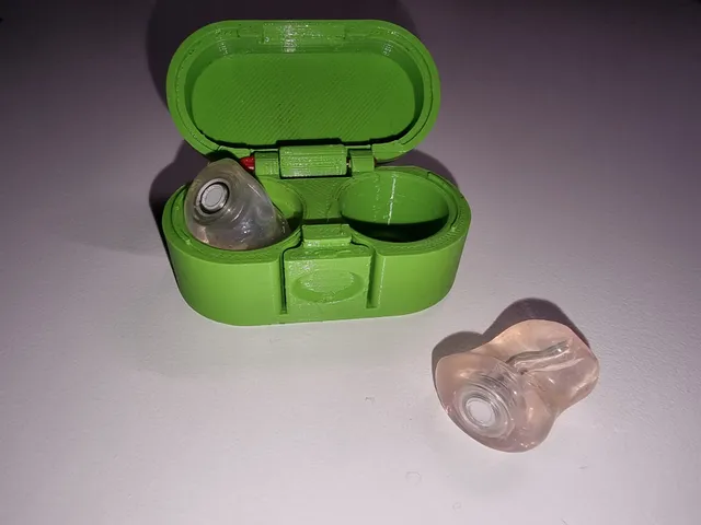 Earplugs case for Earplugs with acoustic filter