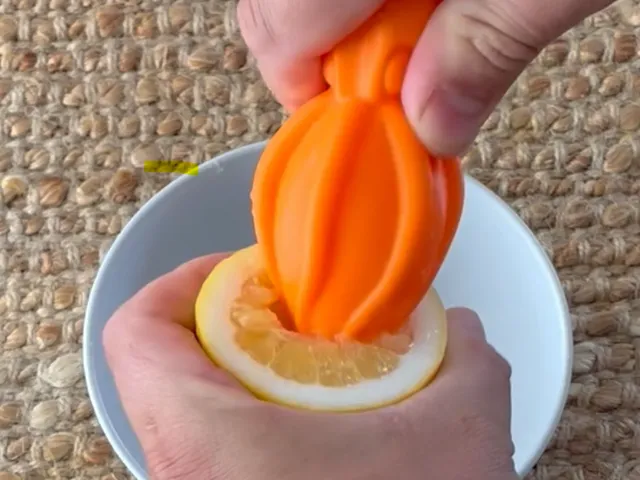 Squid Citrus Juicer