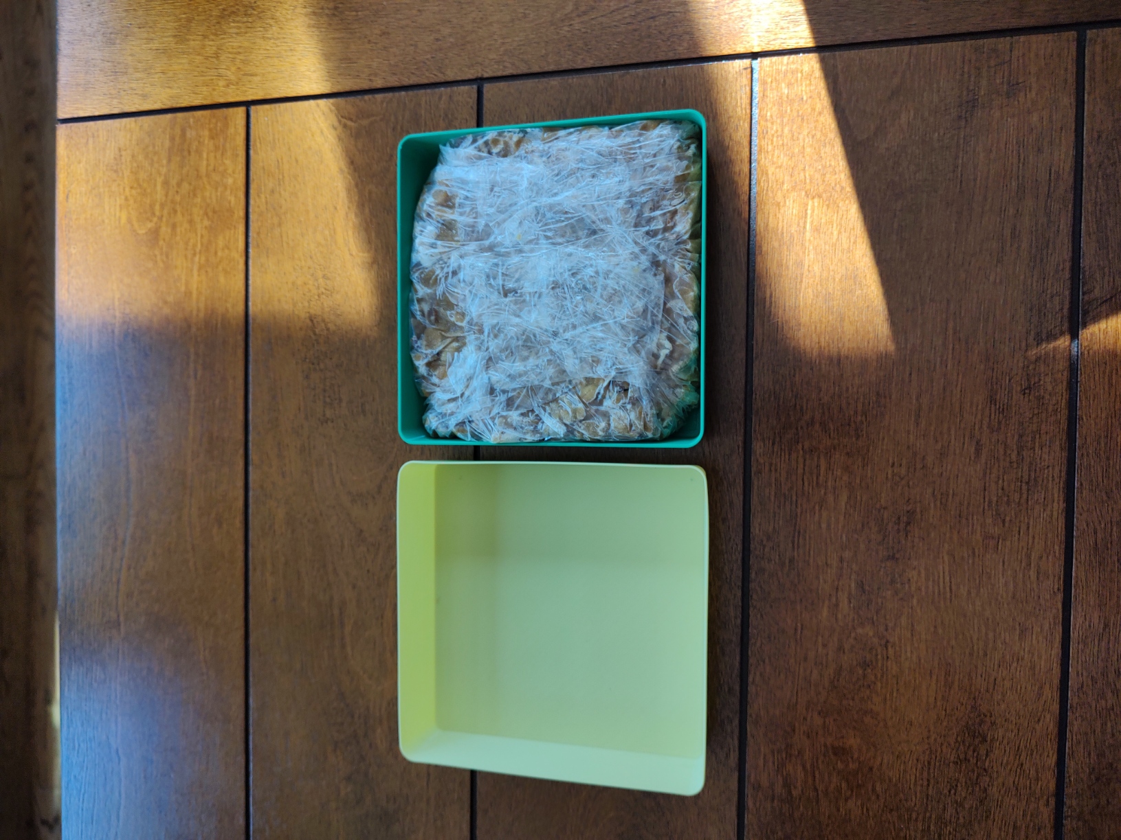 Mold for home made "suet" for feeding birds. by Dik Harrison Download