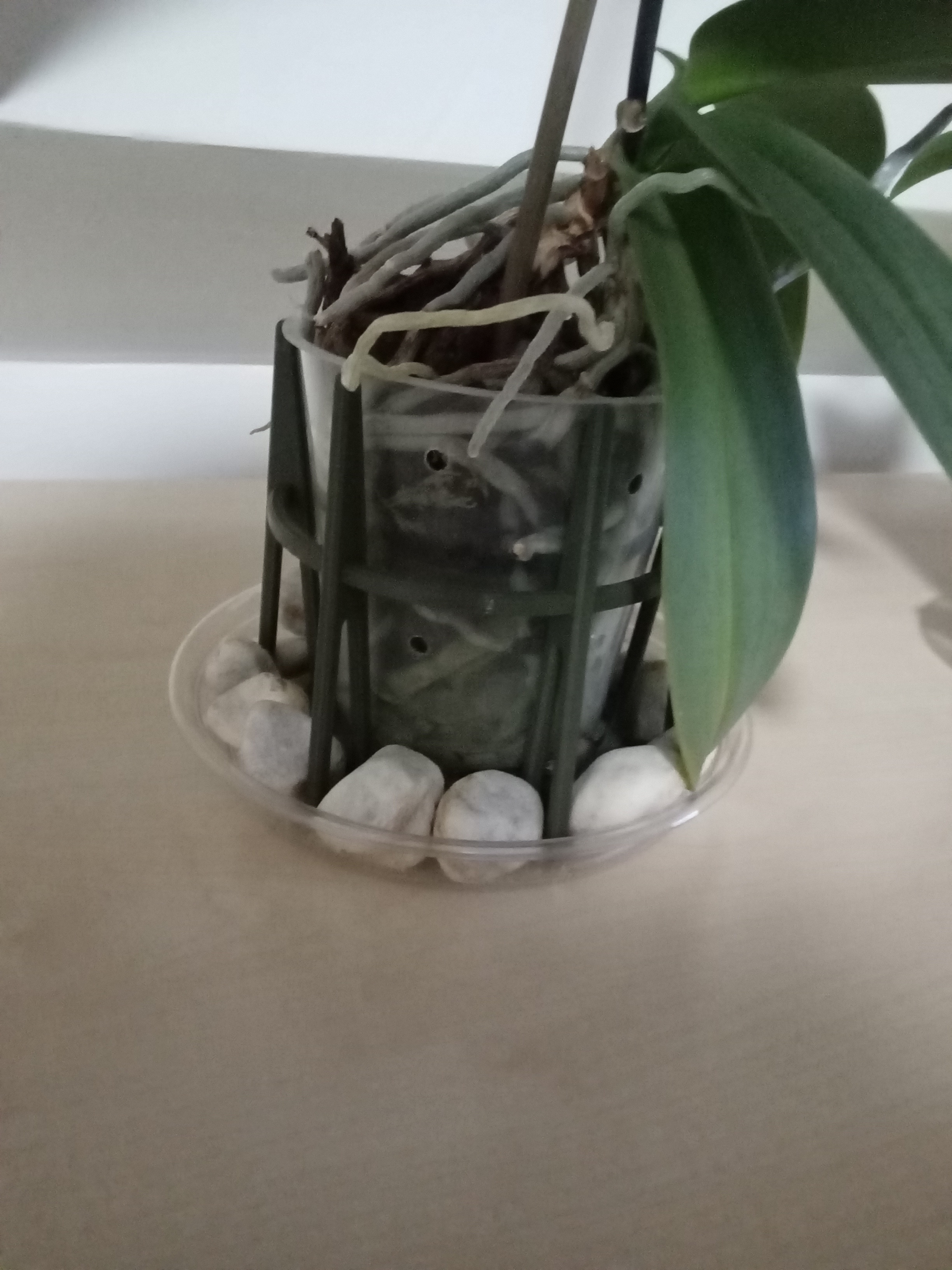 Miniatura 4 do modelo 3D Orchid pot support