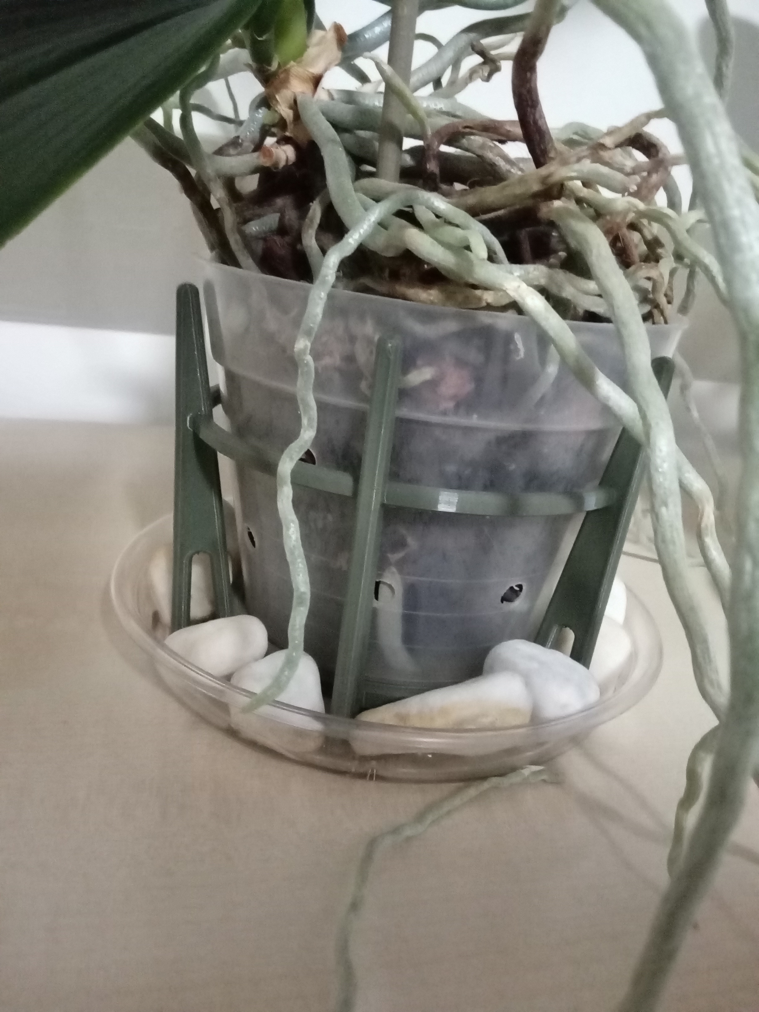 Miniatura 3 do modelo 3D Orchid pot support
