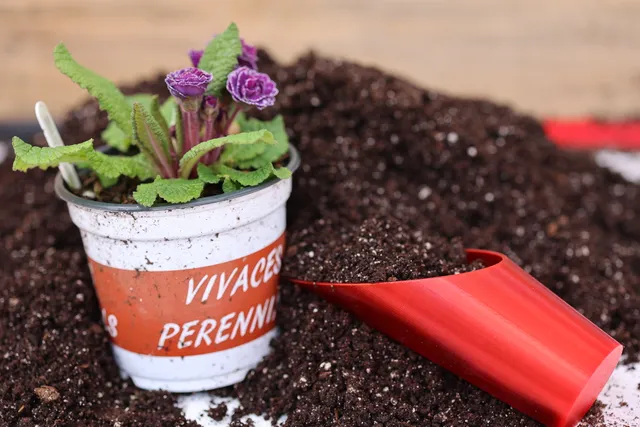 Gardening Shovel / Mini Pelle de rempotage