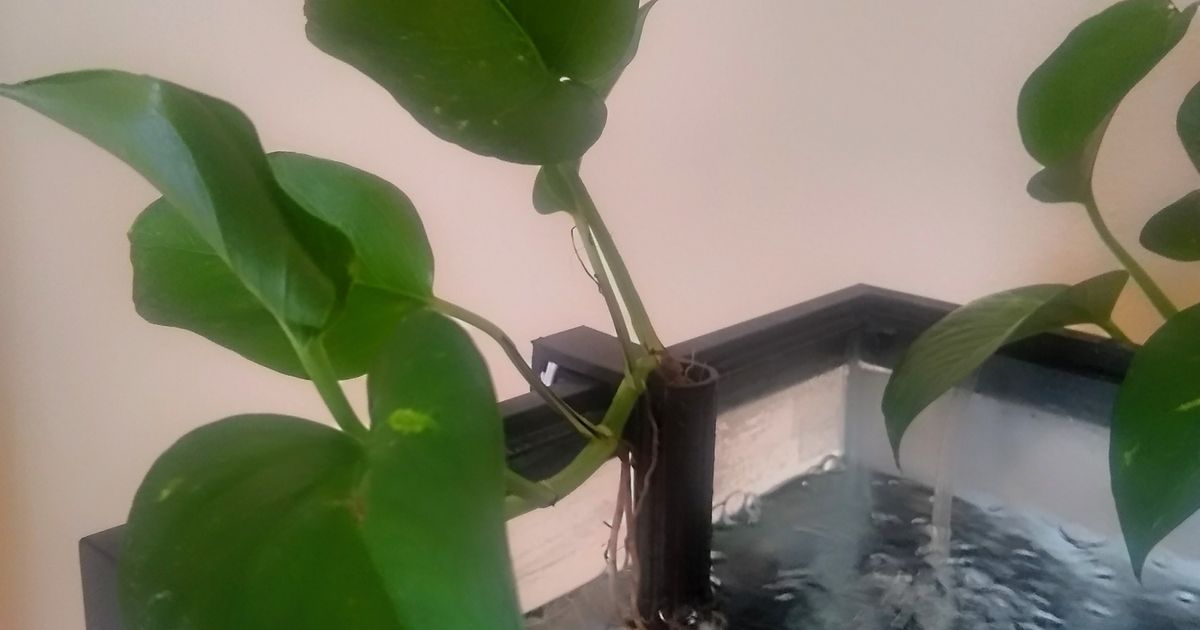 Aquarium plant hanger basket for Aqueon by candybar Download free STL