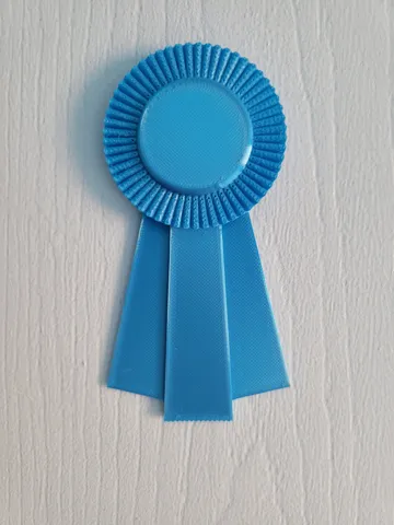 Blue Ribbon Award