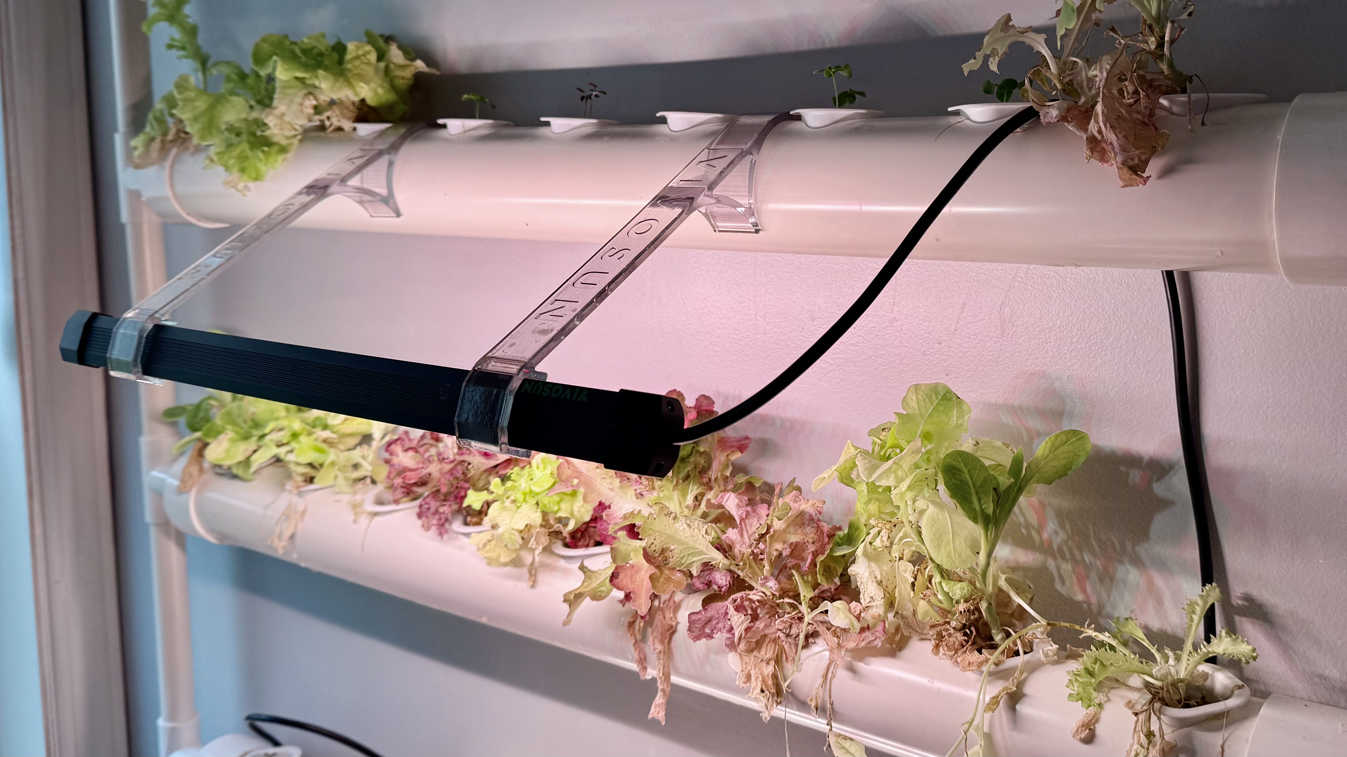 Hydroponic VIVOSUN wall mount and LumaRay LED Bar bracket
