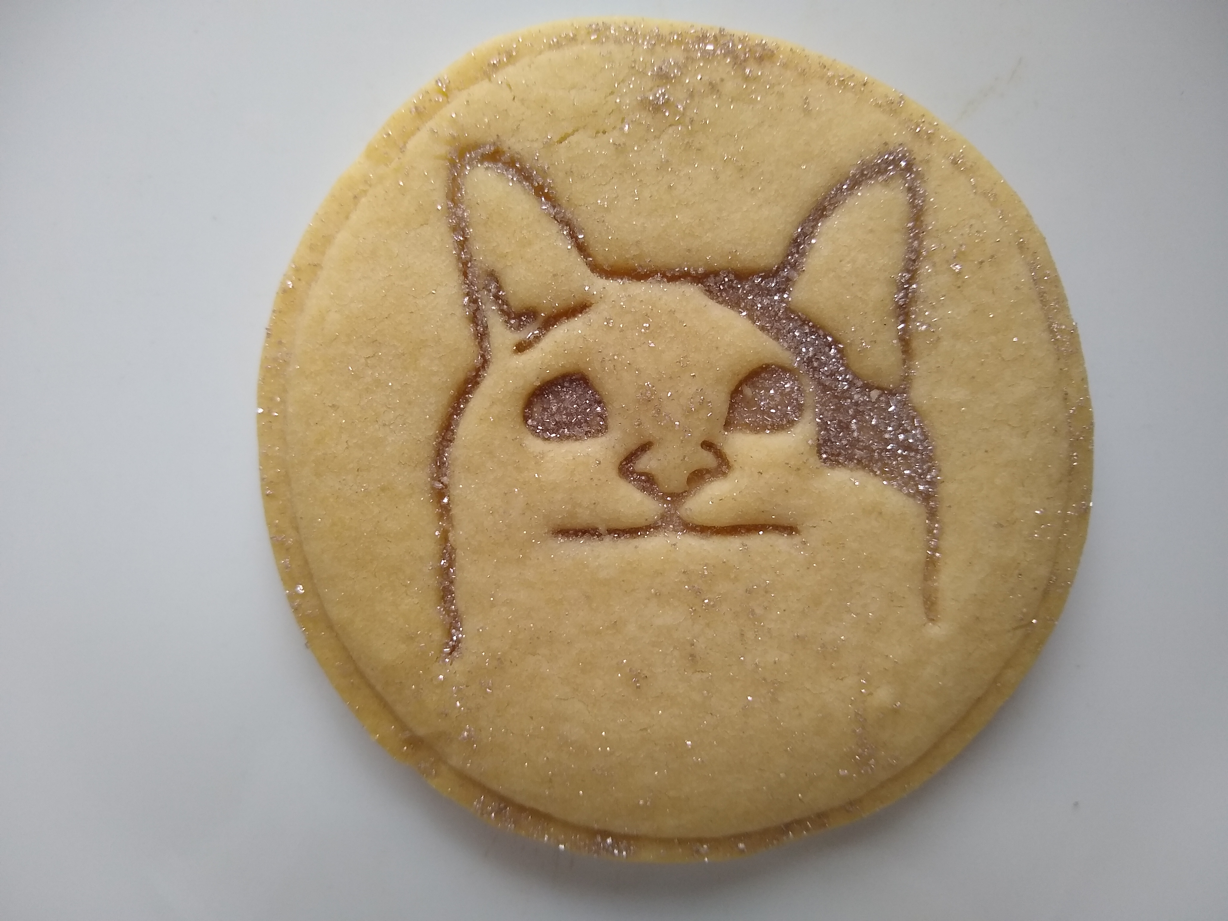 Miniatura 6 do modelo 3D Polite Cat Cookie