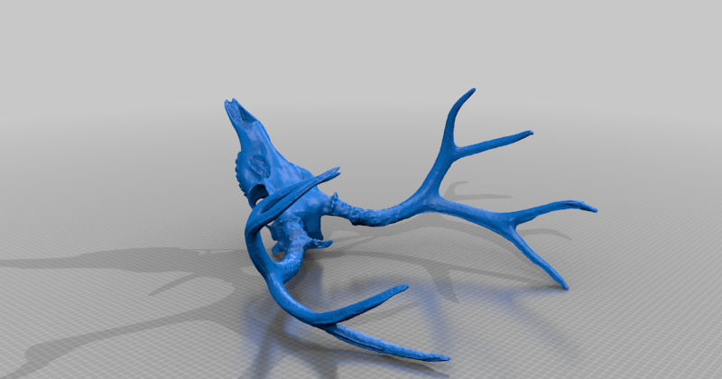 Mule Deer Skull by Cristian | Download free STL model | Printables.com