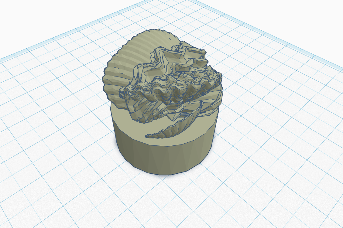 Seashell Trophy