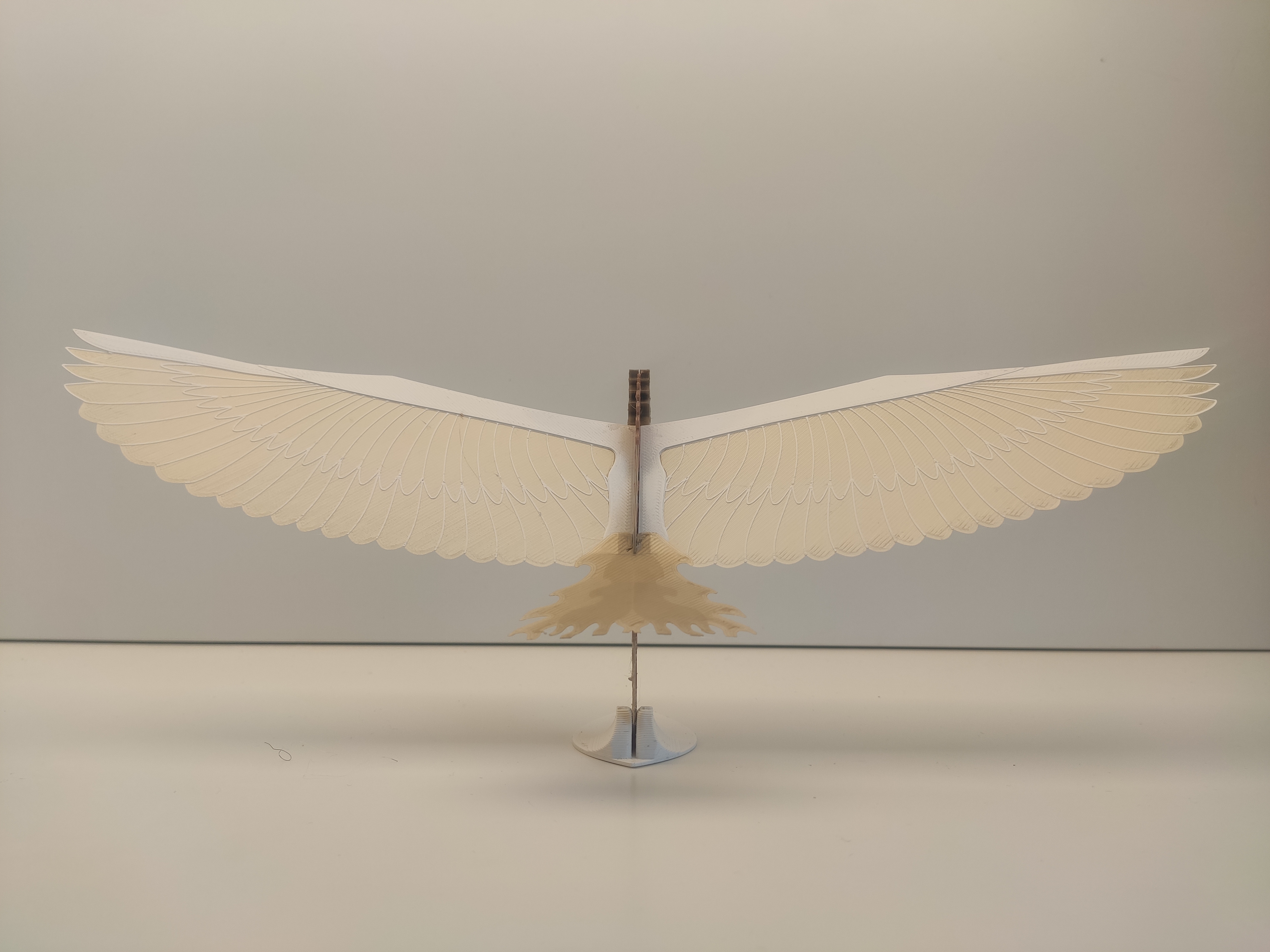 Flying Pegasus — thumbnail 5