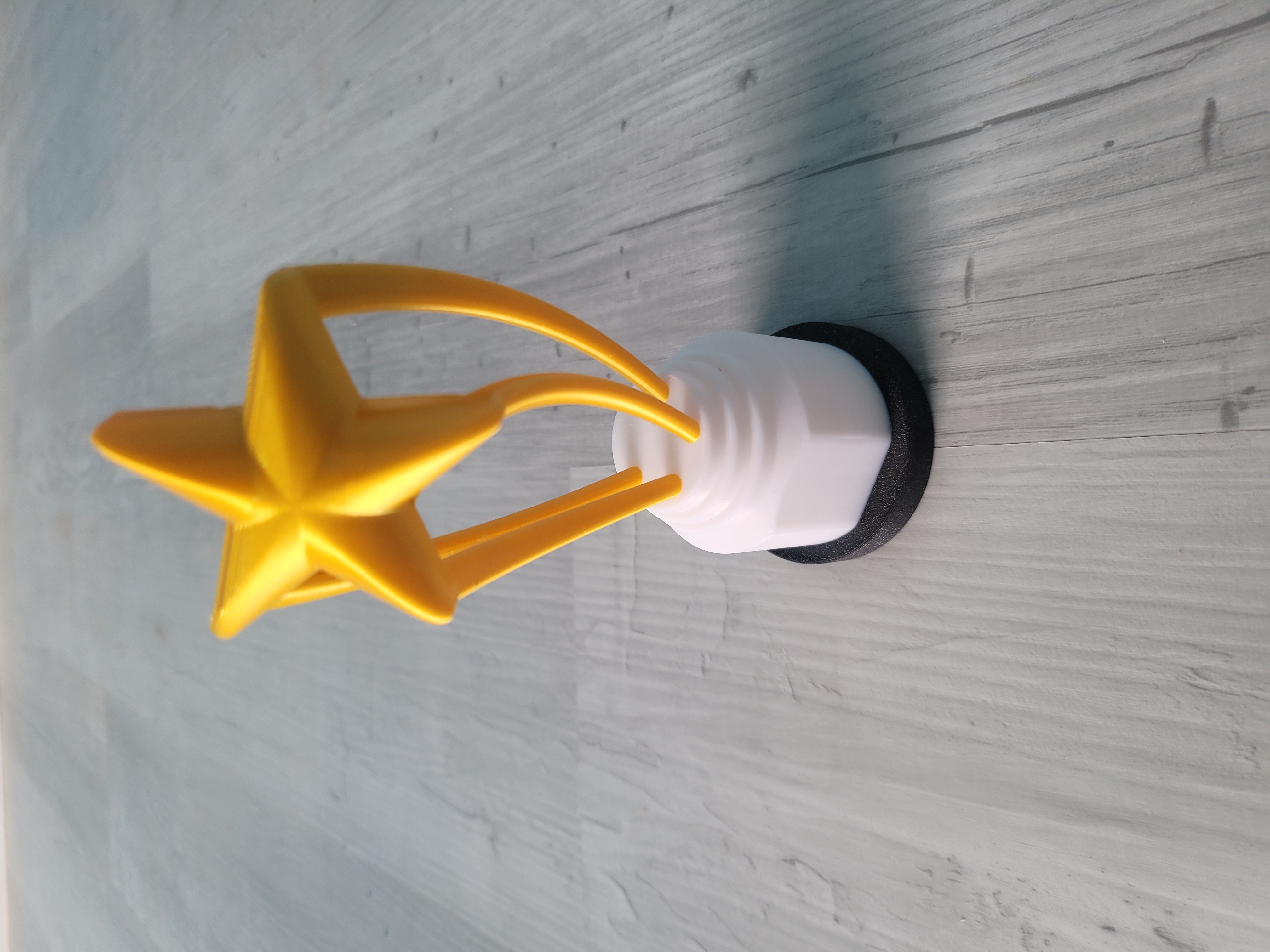 Rising Star Trophy