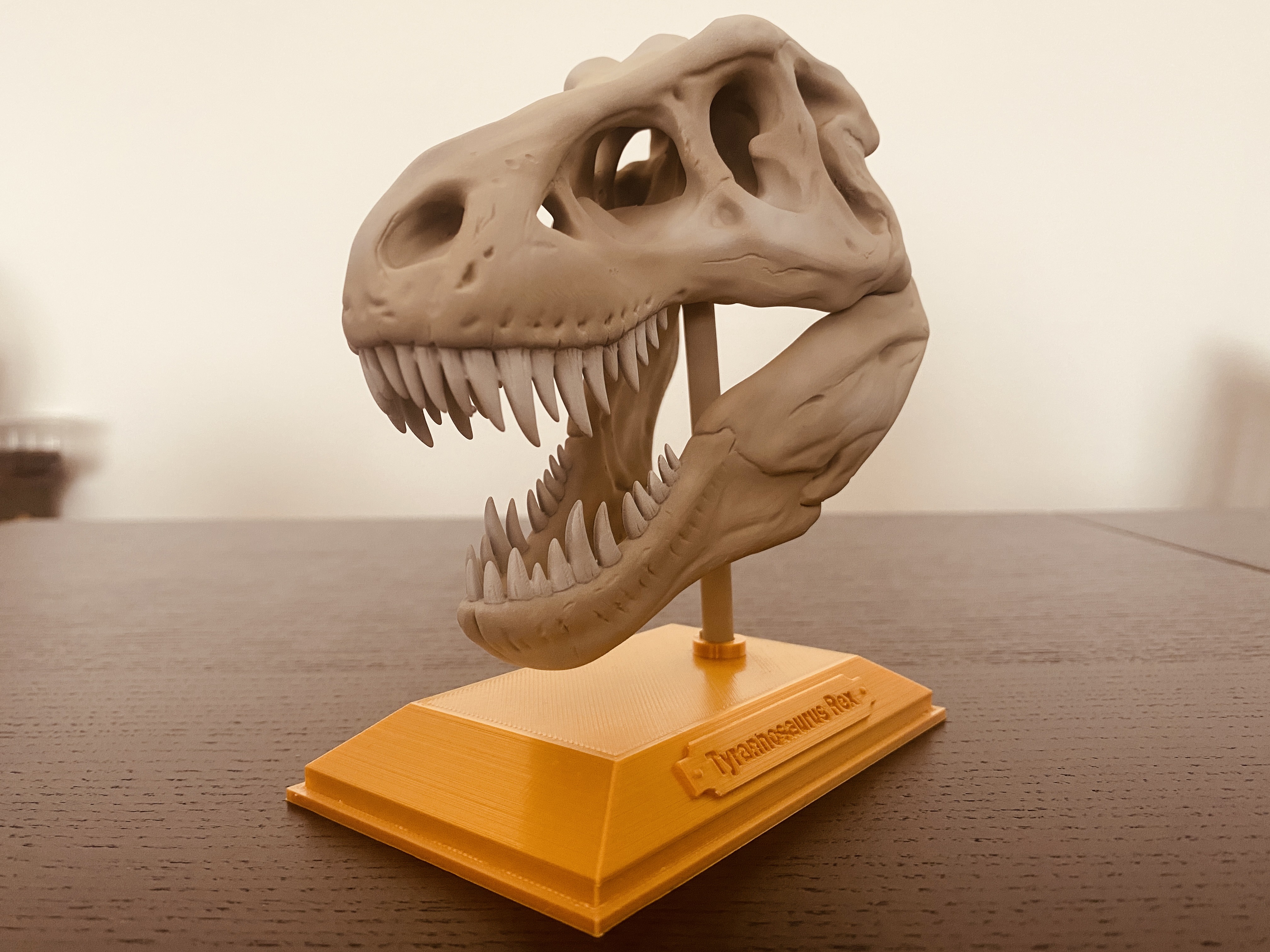 t-rex-skull-by-st3mp3d-download-free-stl-model-printables