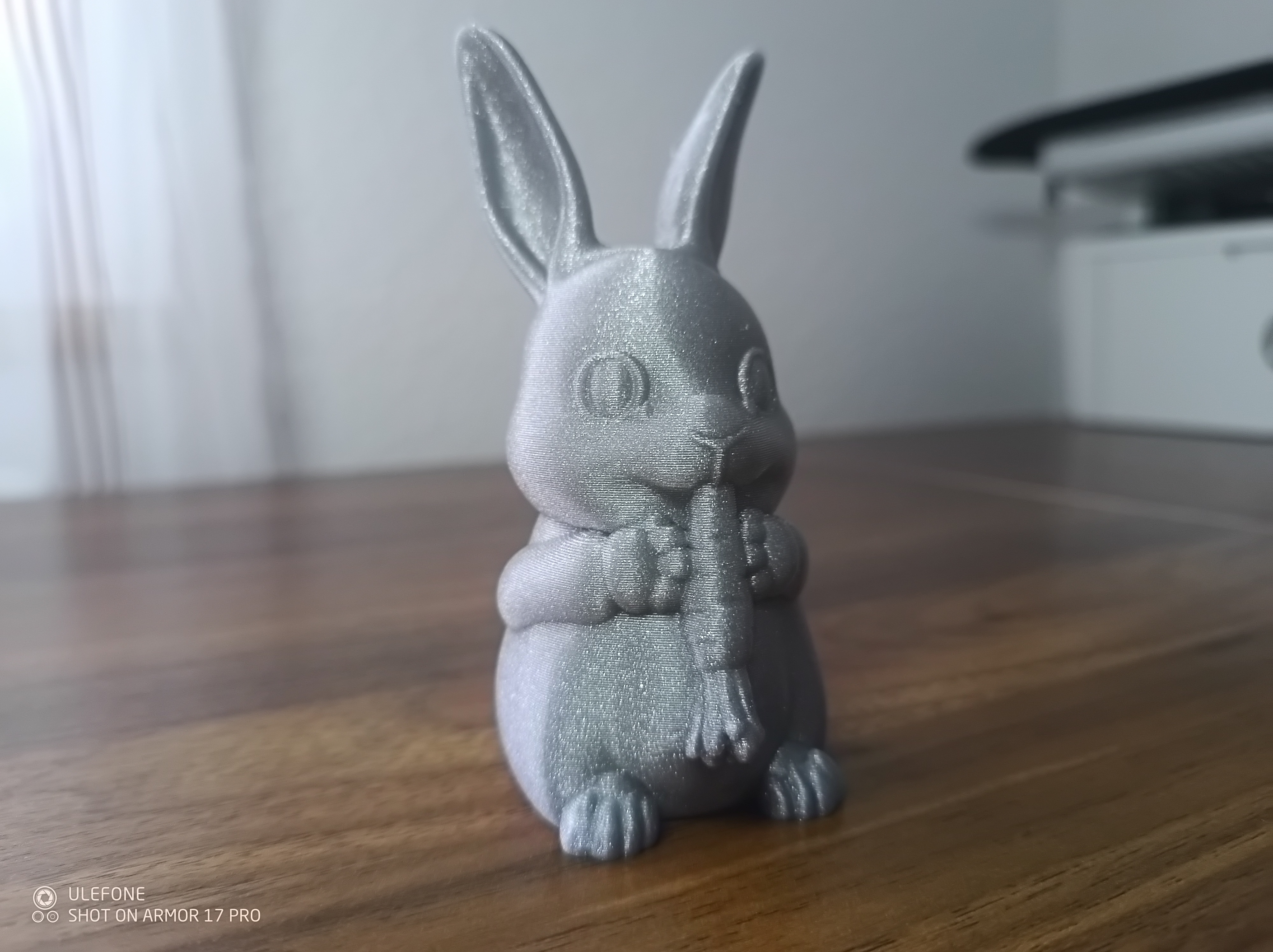 Bunny