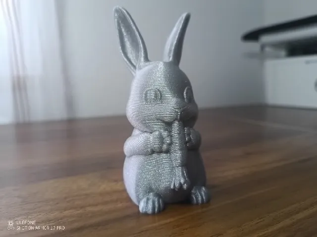 Bunny