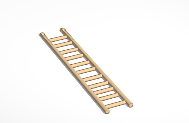 Bird cage ladder