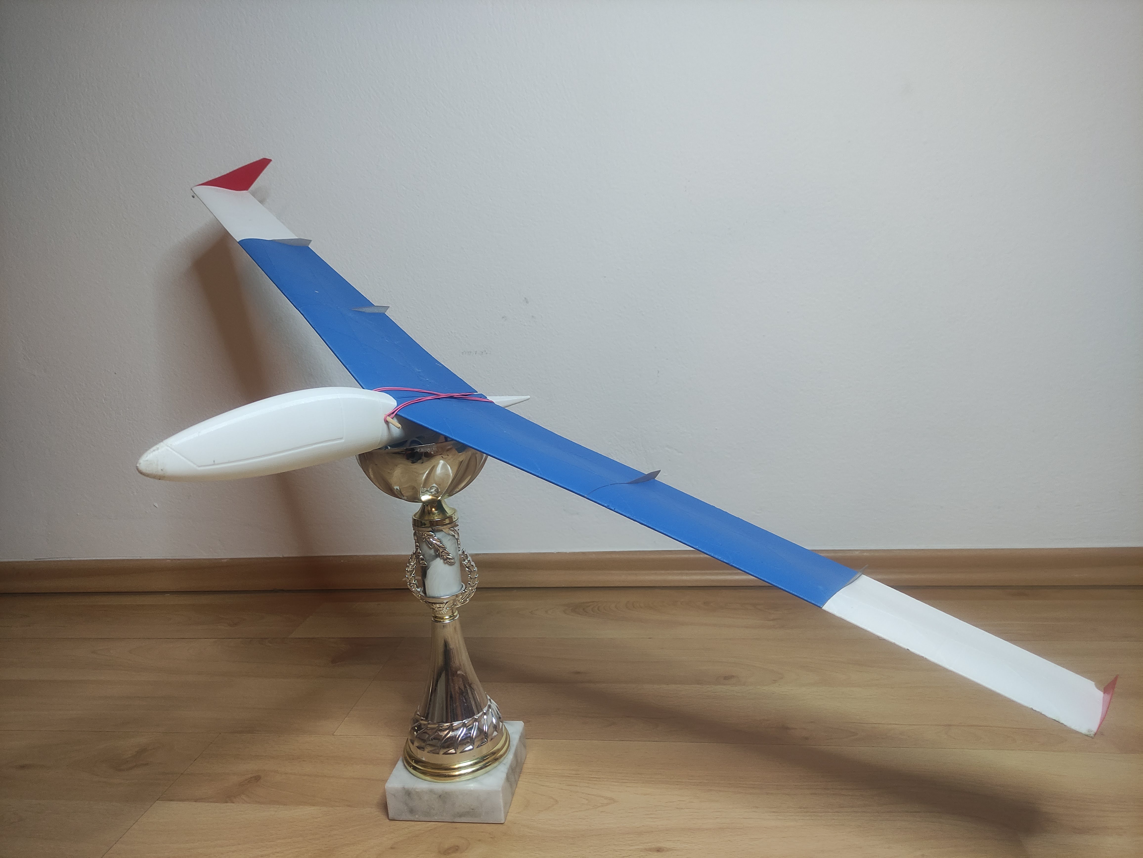 Onewing Glider