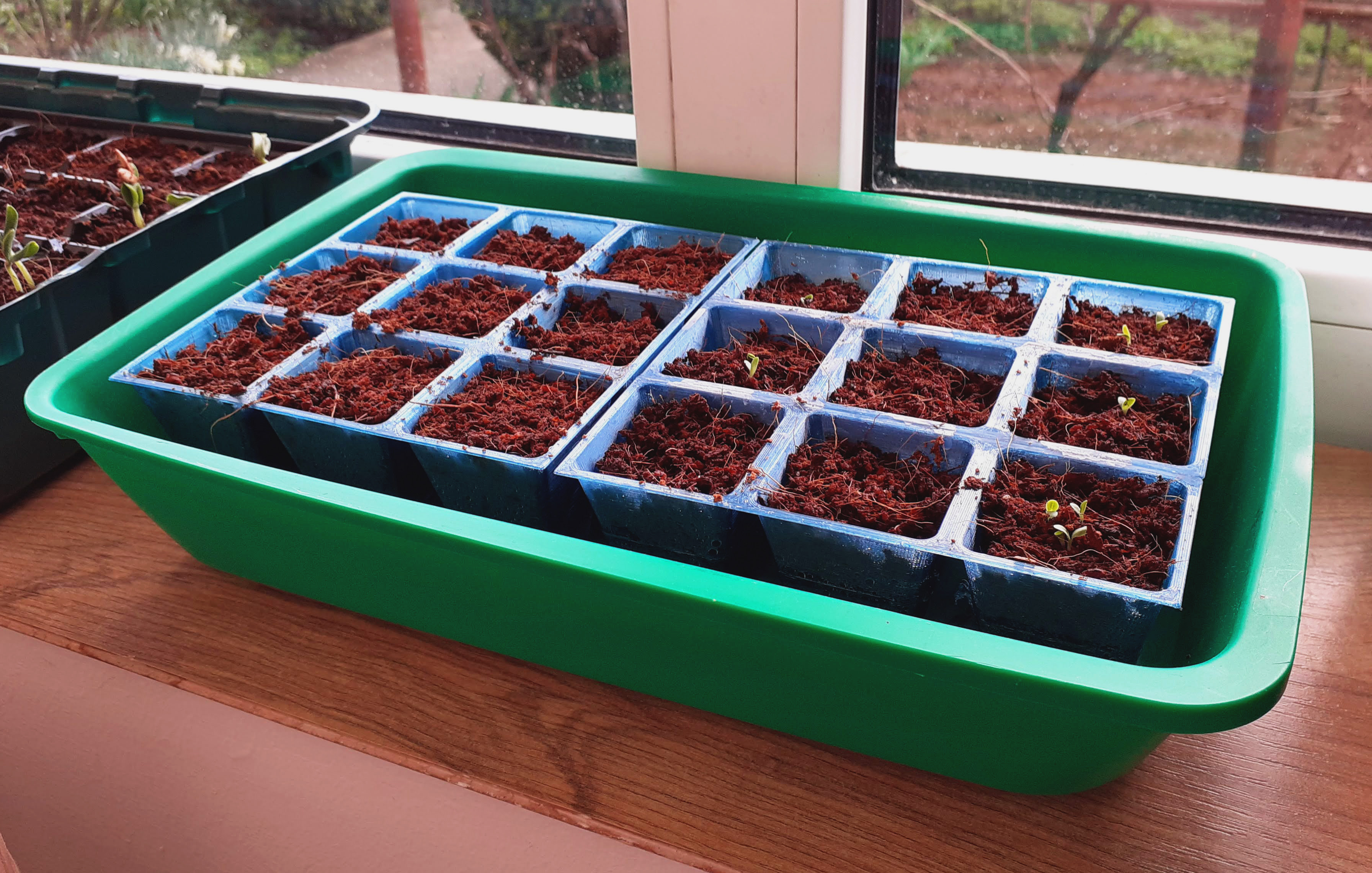 seed starter tray for parkside mini greenhouse propagator