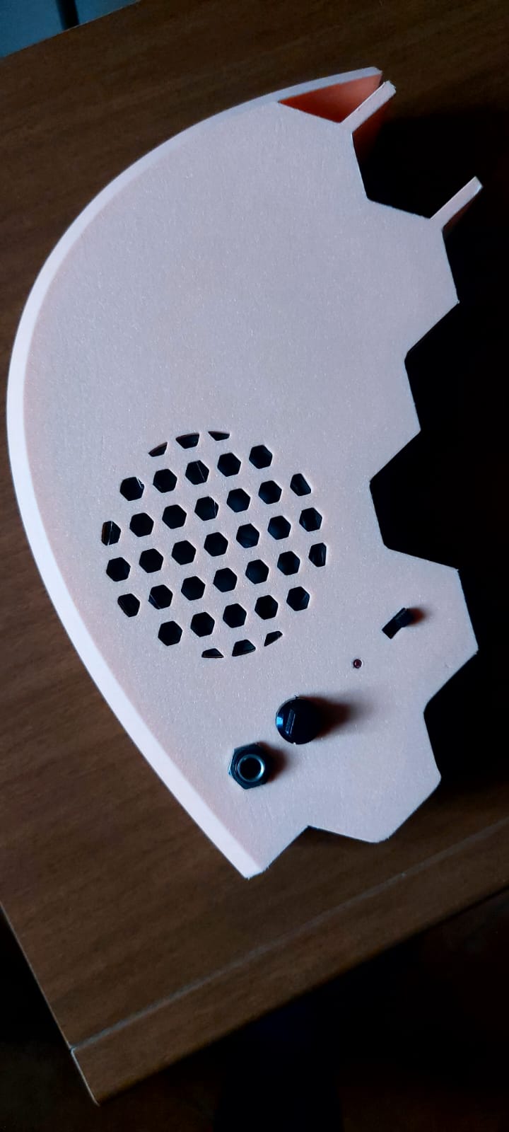 Amplificatore Prusacaster