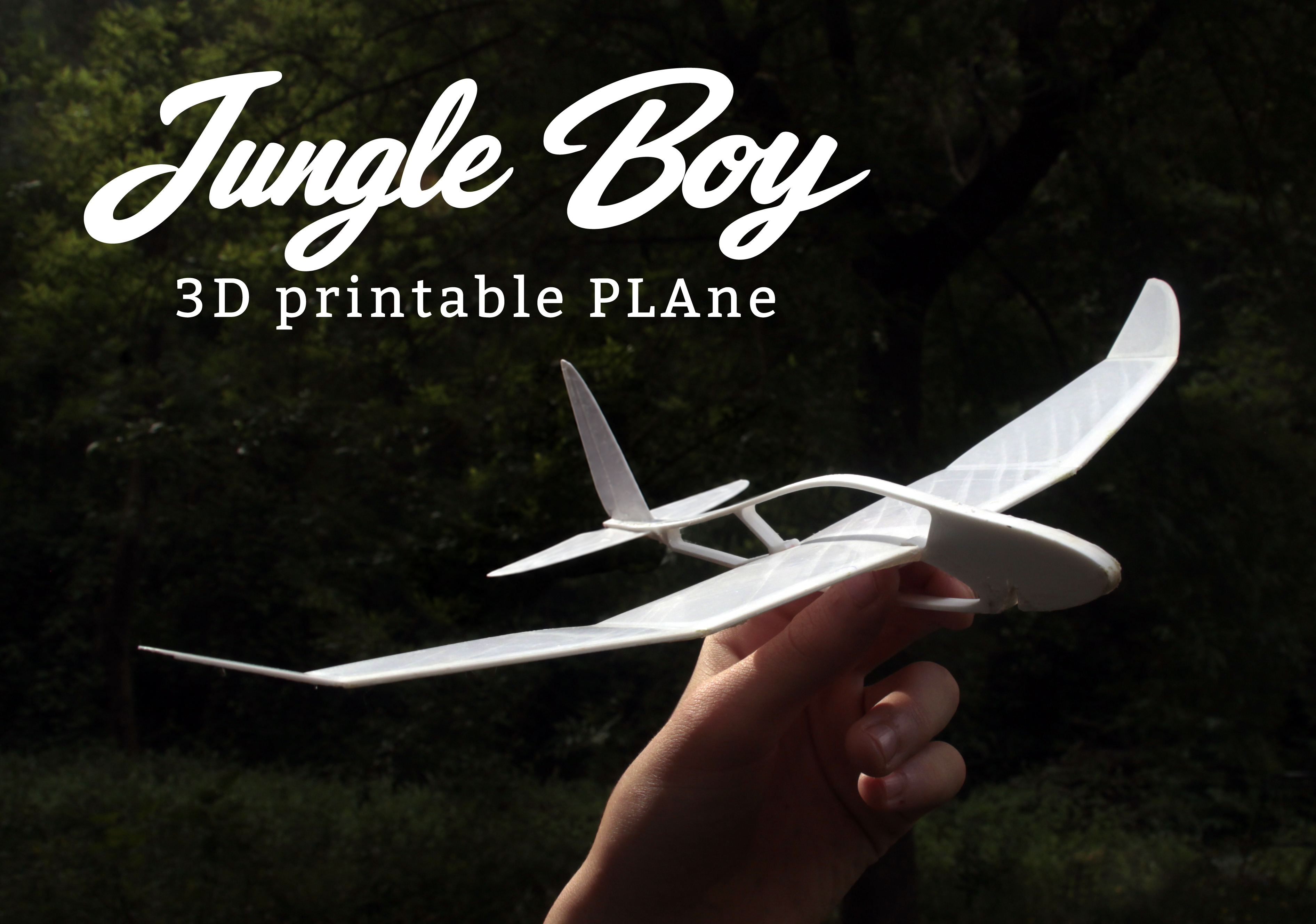 Jungle Boy 3D printable PLAne
