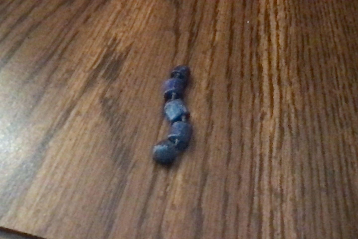 Worm
