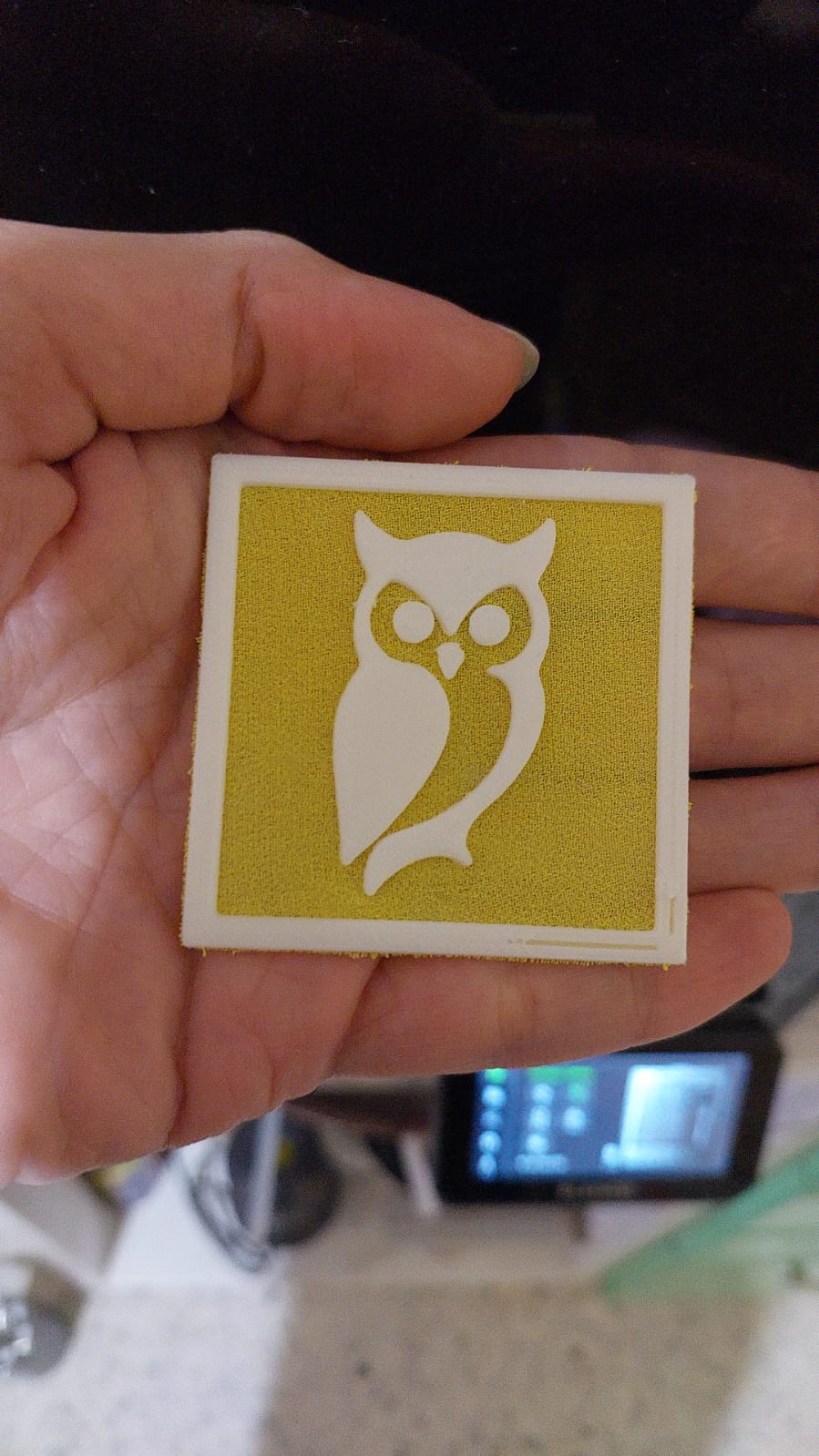 Owl In Frame