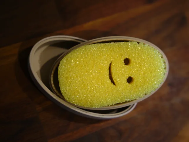 Scrub baby holder - Scrub Daddy Sponge Container