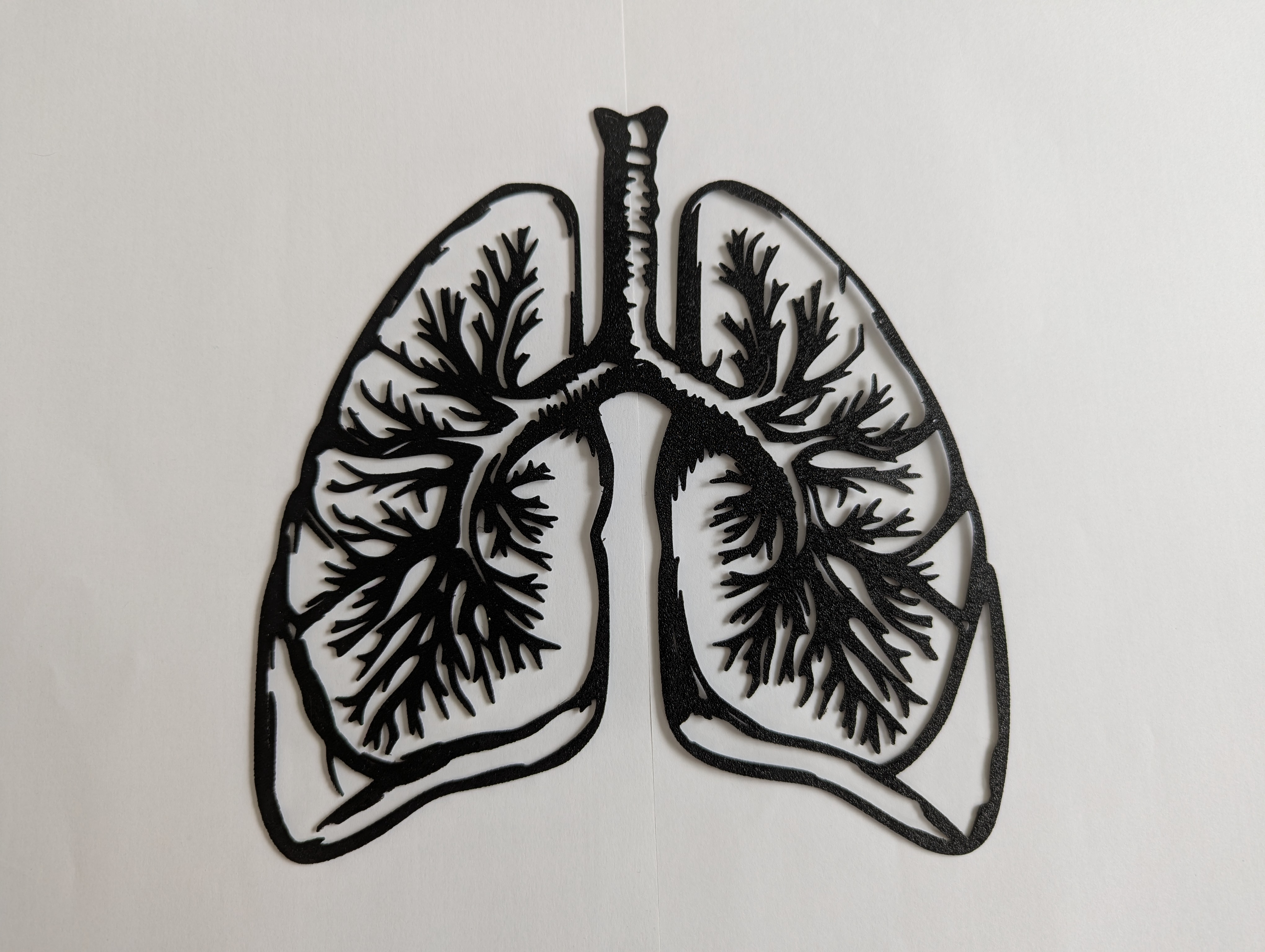 Human Lungs Outline Model / Wall Art