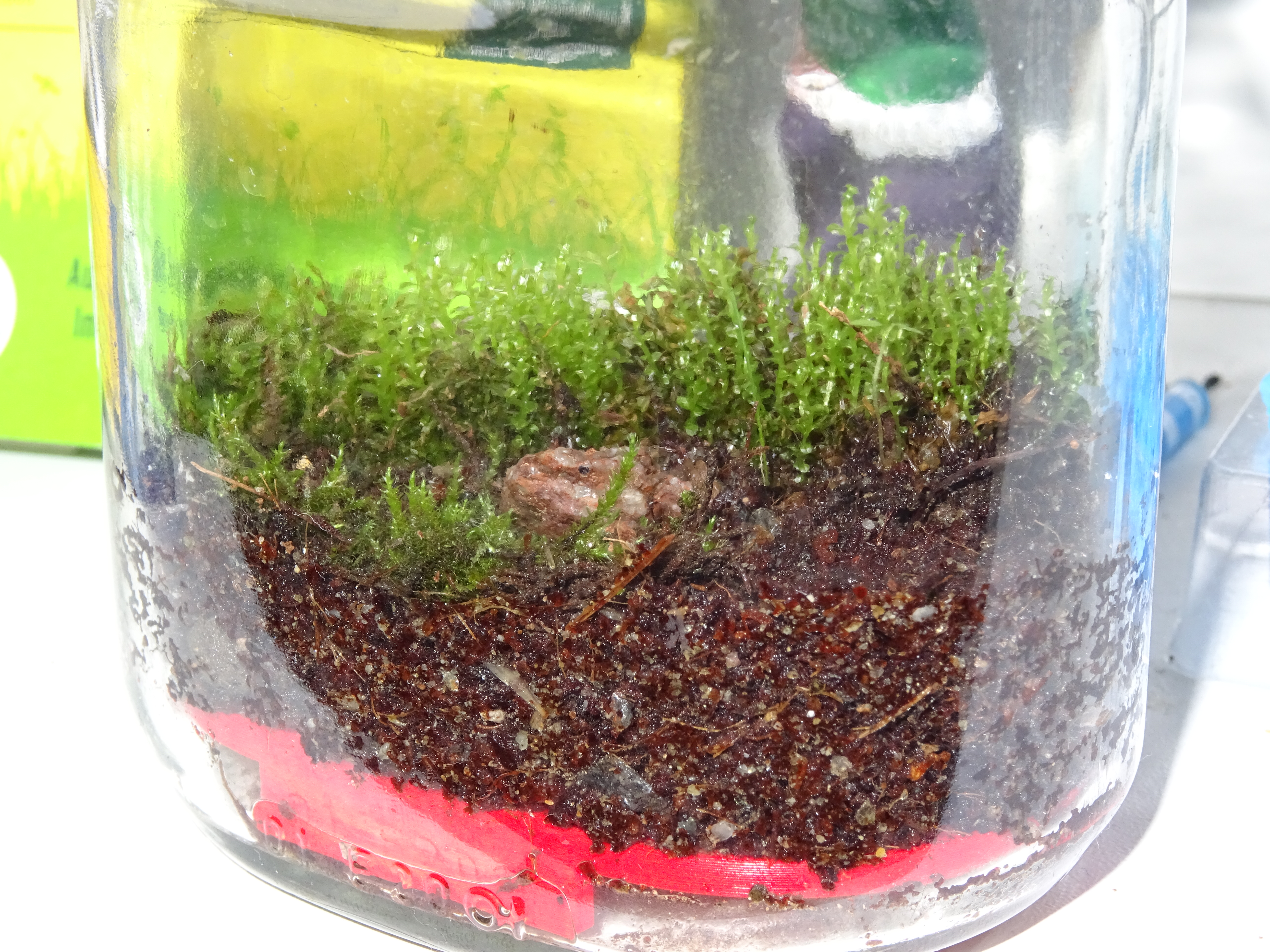 Bottle garden drainage Inlay