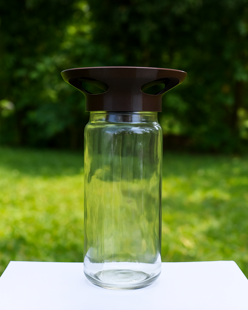 Slug Trap – Garden Friendly Solution