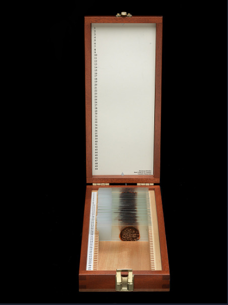 Dexter blood slide box