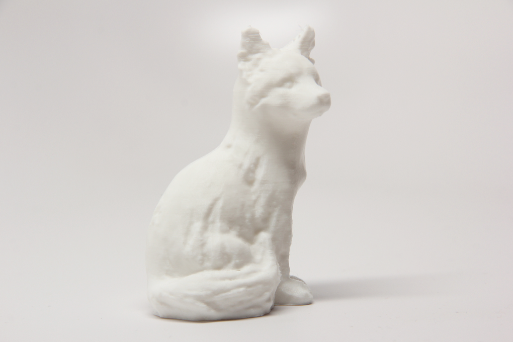 Sitting Fox
