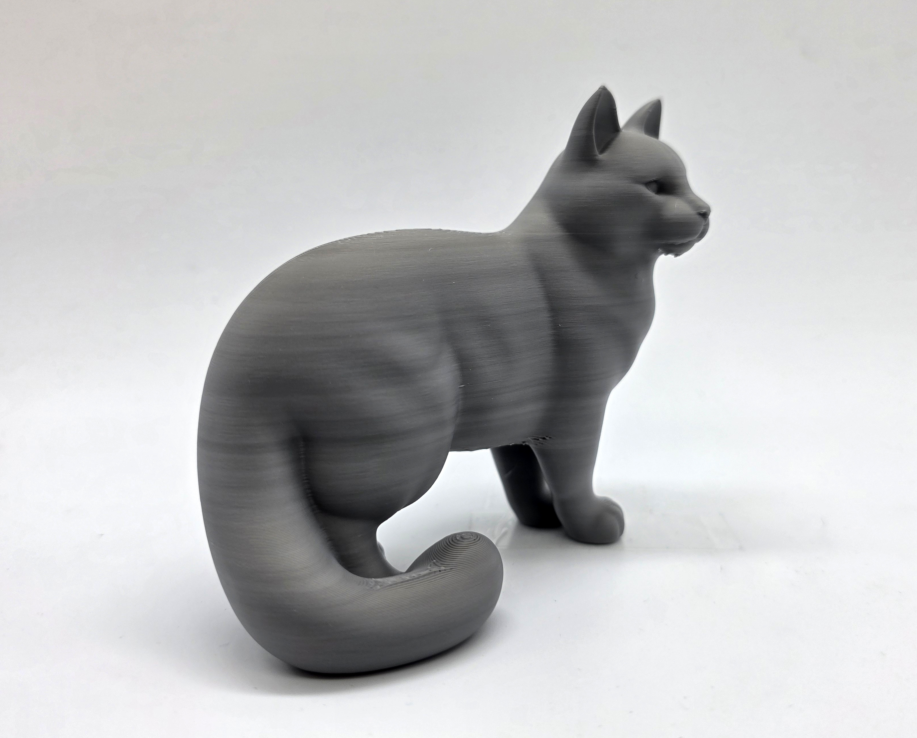 Standing Cat - Fluffy Tail — thumbnail 4