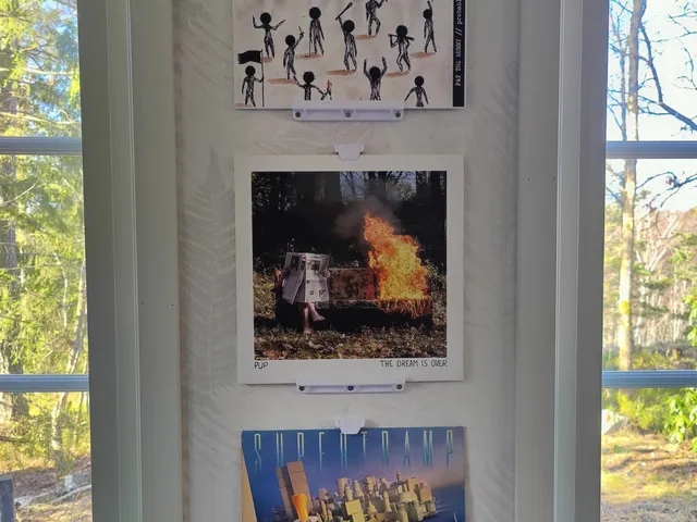 Vinyl record wall mount