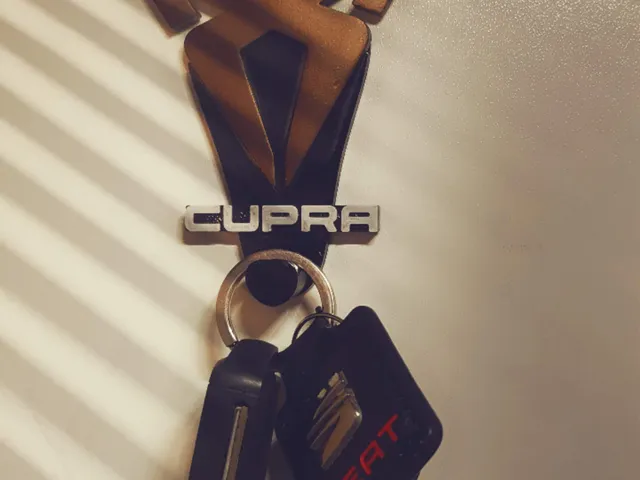 porte clé cupra simple