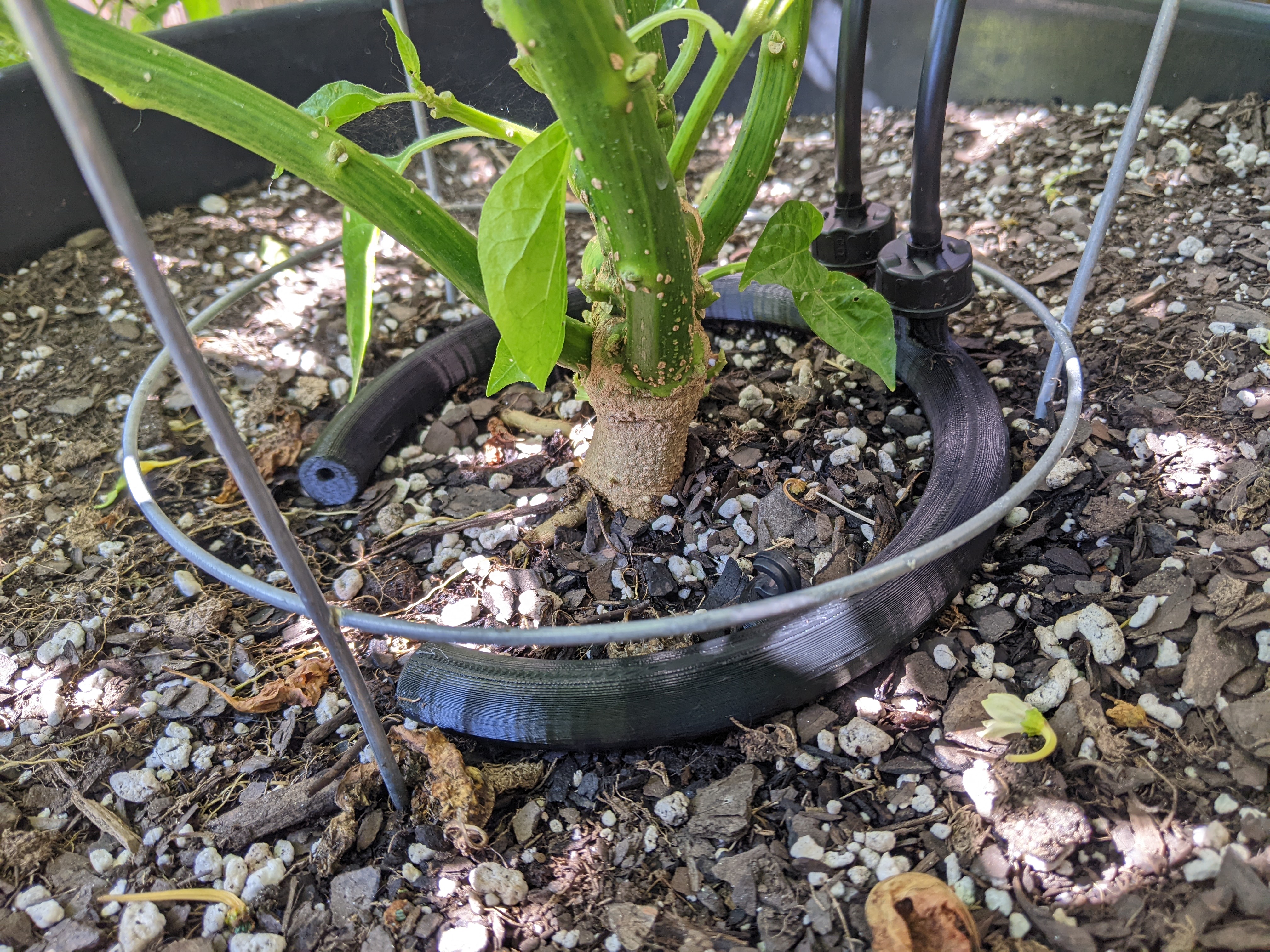 Drip Irrigation Ring
