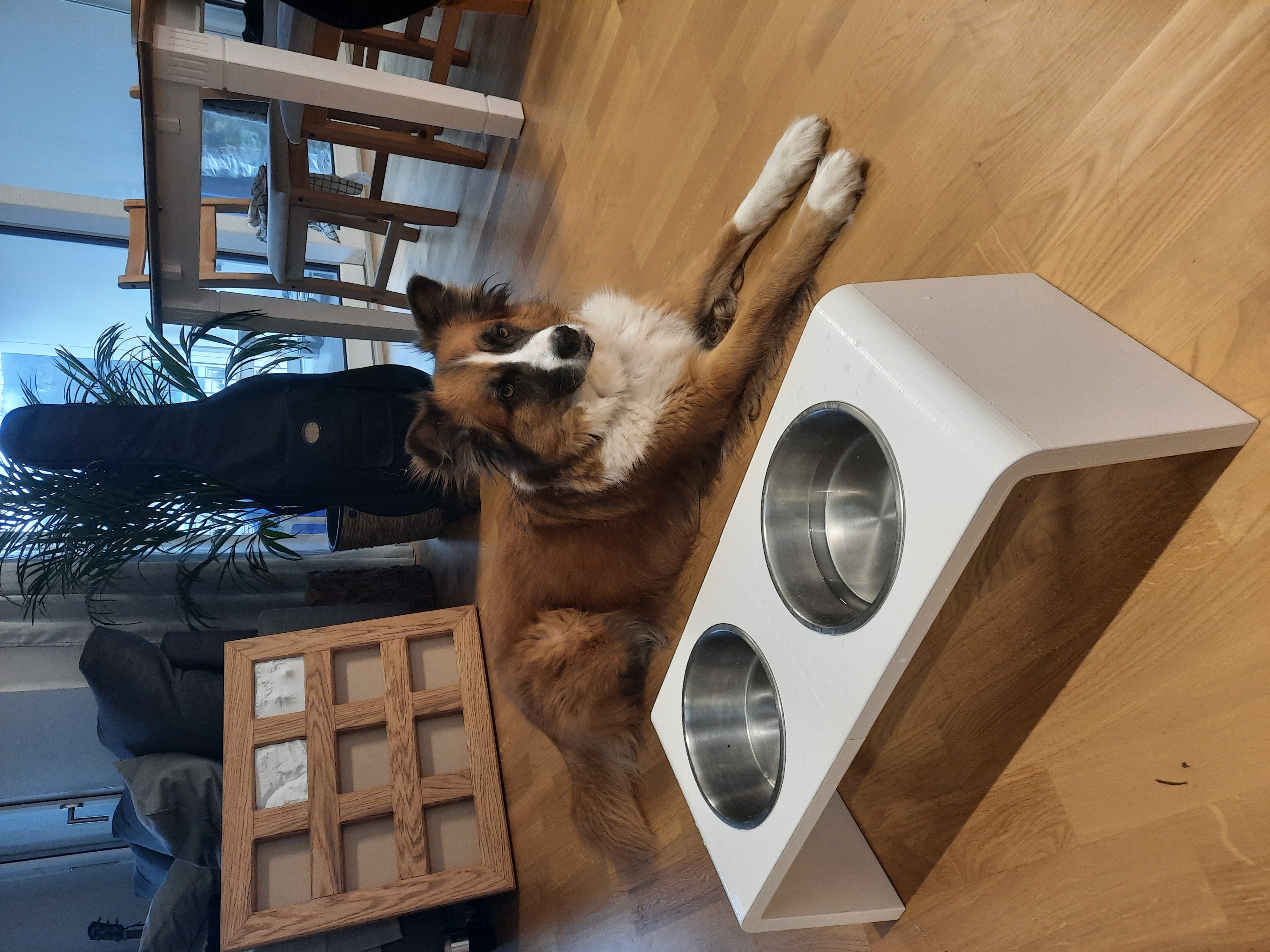 Dog Diningtable