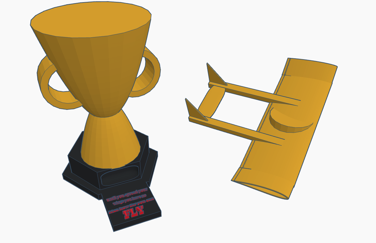 trophy for make it fly contest