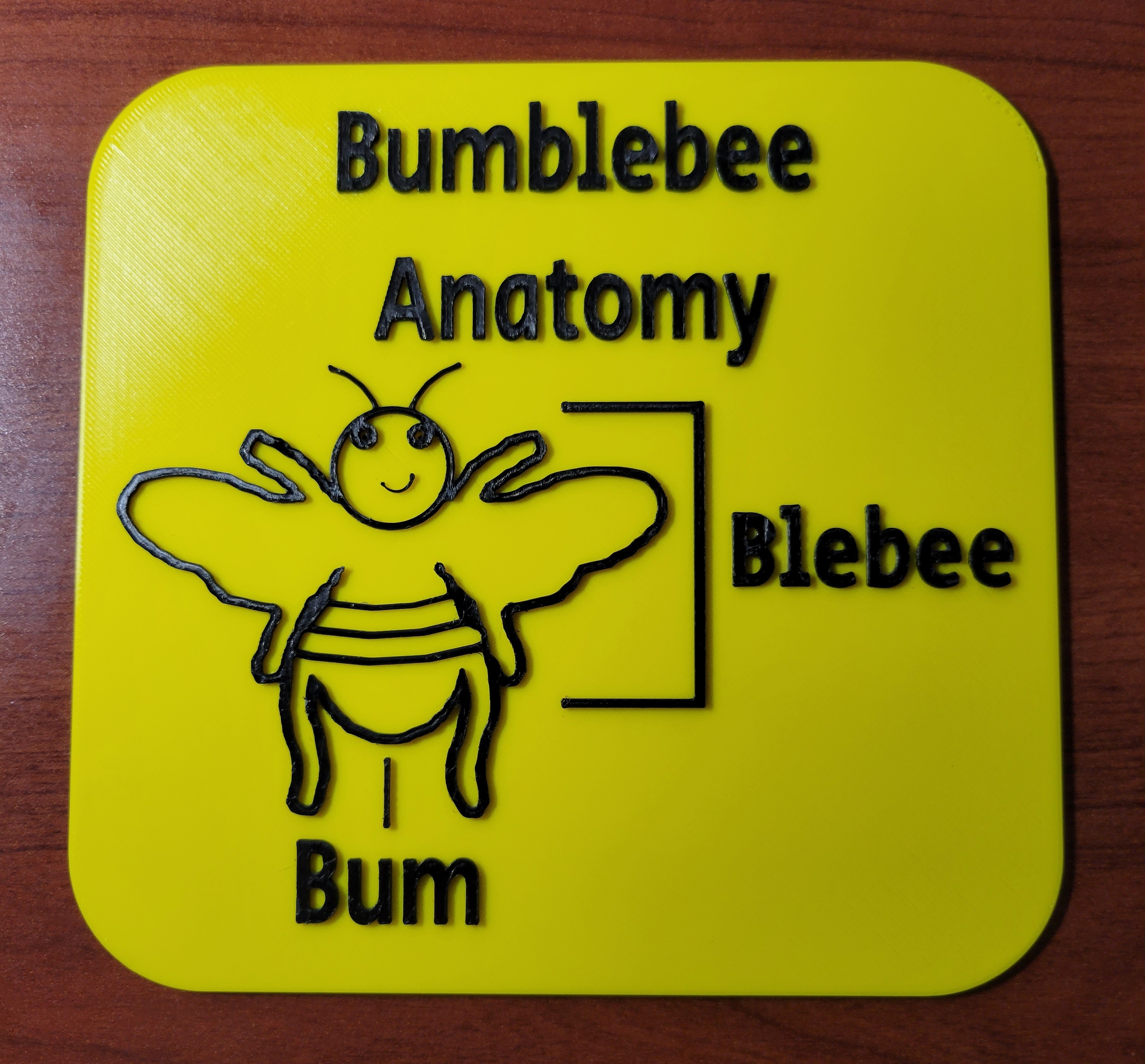 Bumblebee Anatomy