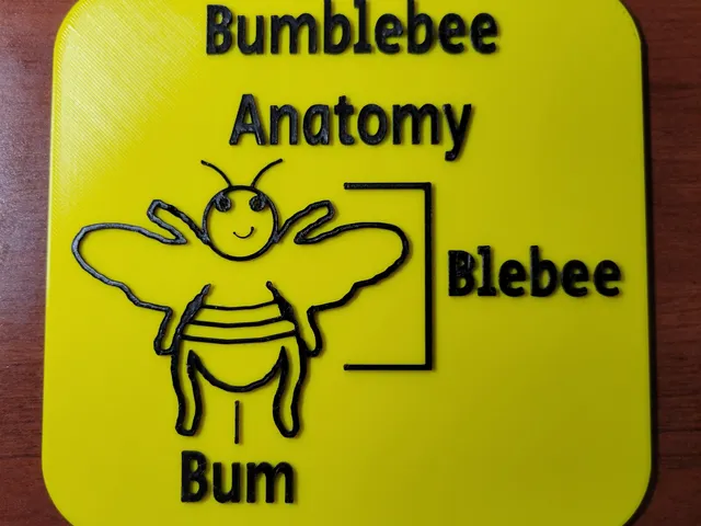 Bumblebee Anatomy