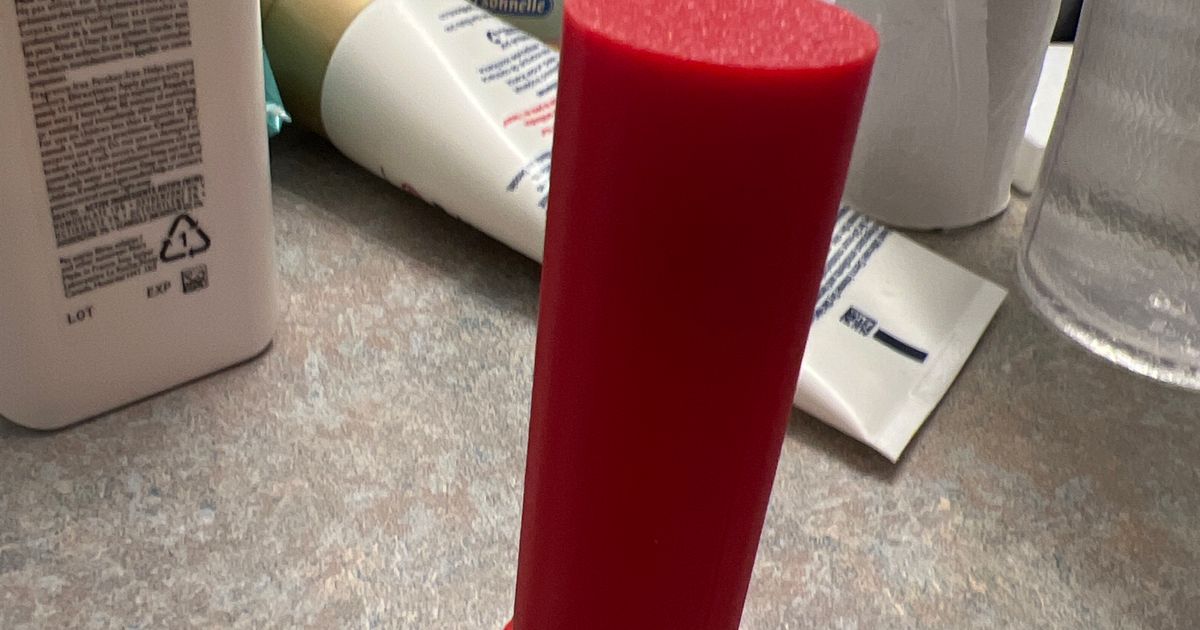 Philips Sonicare Toothbrush Travel Case by netpaq Download free STL