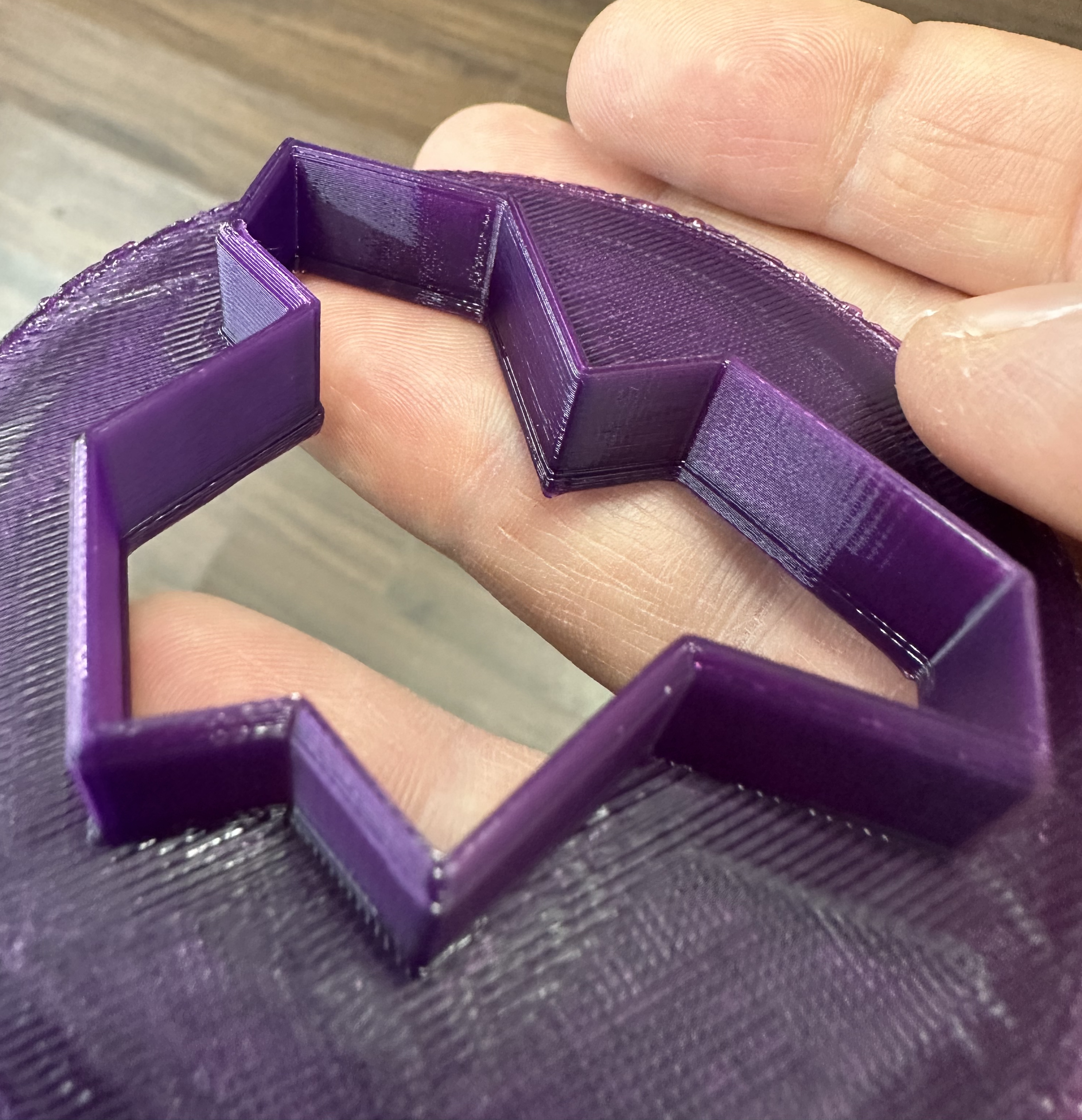 Aperiodic Monotile Cookie Cutter