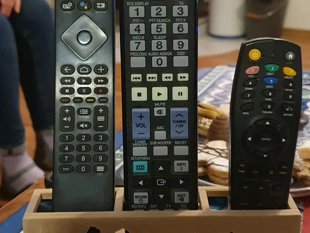 Remote control holder