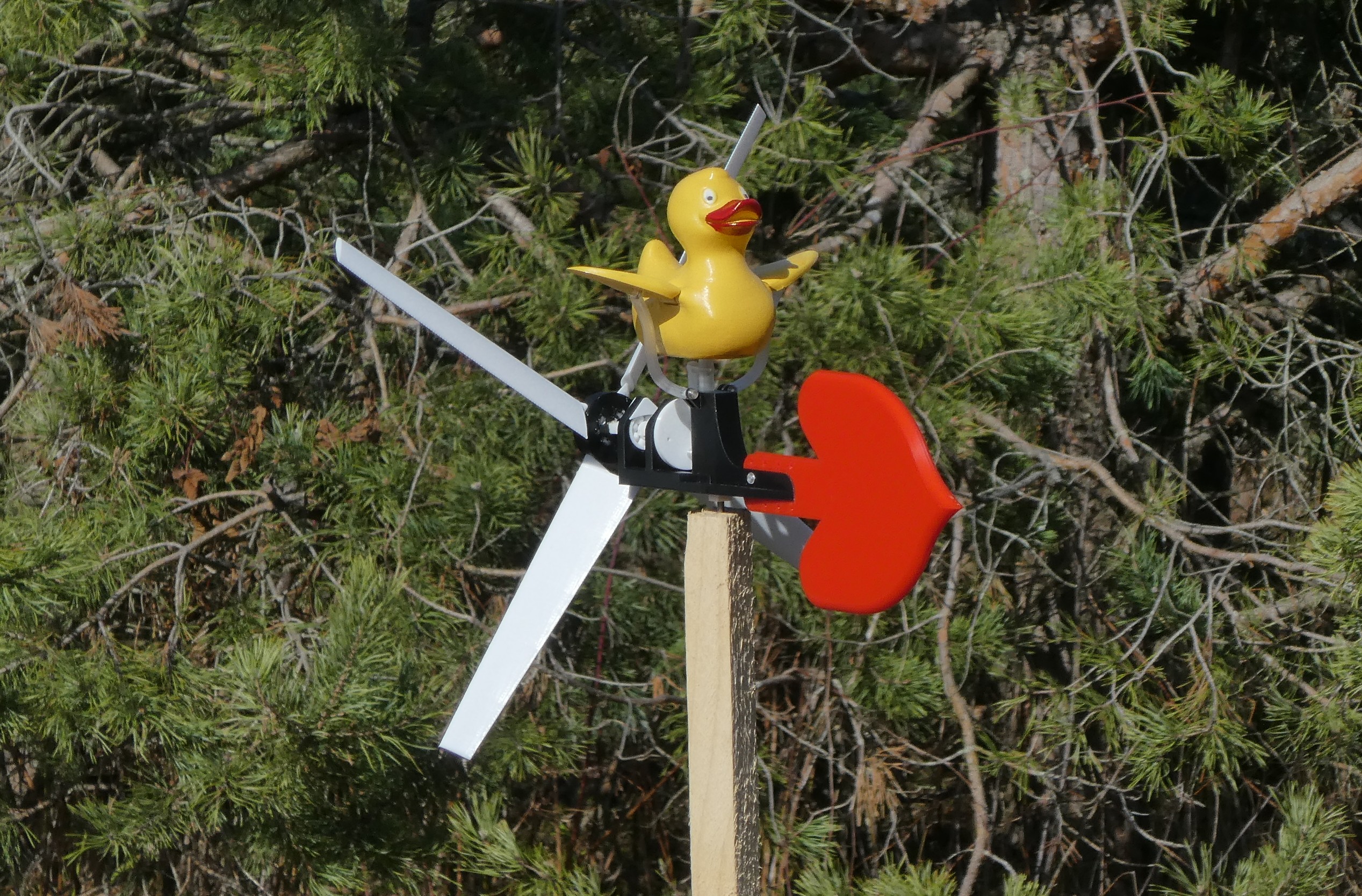 Duckie learning to fly whirligig (100% 3D-printable).