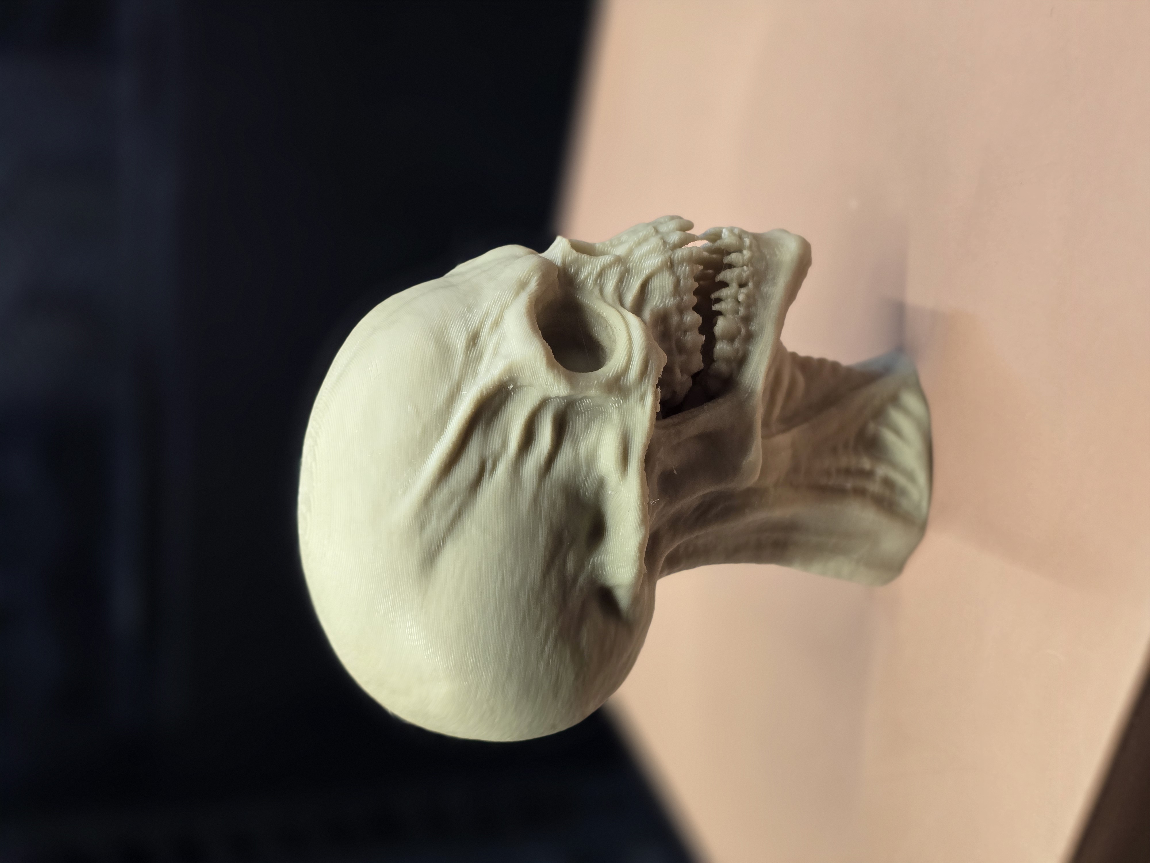 The Abyssal Sentinel – Hyper- Detailed Alien Skull — miniatura 4