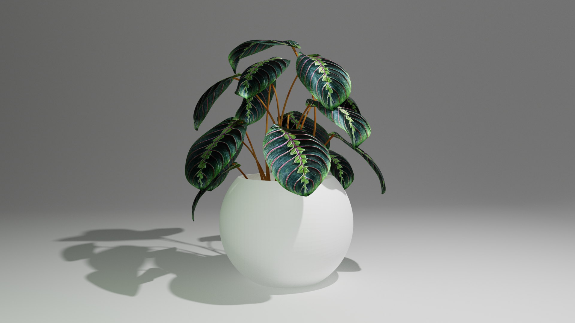 Round Flower Pot
