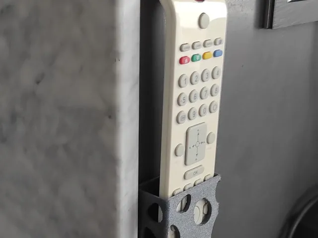 Voronoi Remote Holder