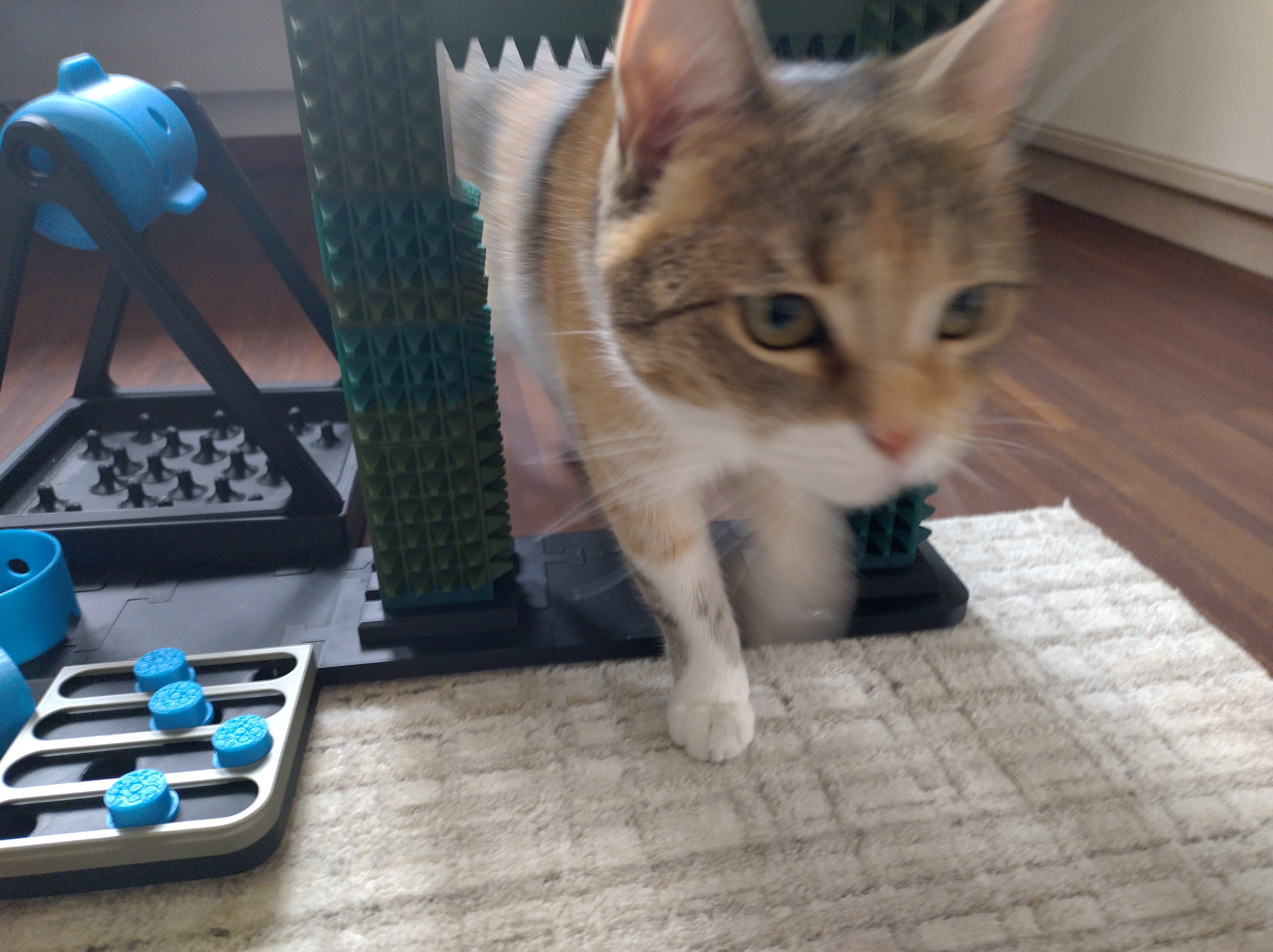 Miniatura 2 do modelo 3D cat scratch arch
